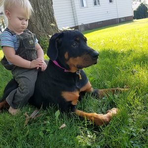 Meet your Posher, Cecilia